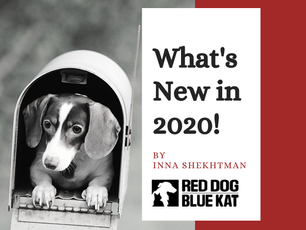 What's New In 2020