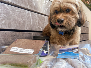 The Complete Guide to Storing, Handling and Cleaning While Dealing with Raw Pet Food