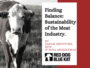 Sustainability Of The Meat Industry