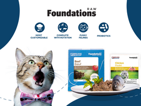 Everything You Want To Know About RDBK's Raw Foundations Cat Food