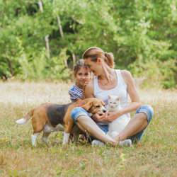 Initiatives Red Dog Blue Kat pour notre communauté, y compris des dons d'aliments pour animaux de compagnie aux refuges